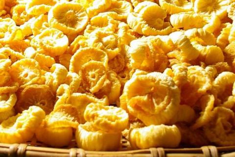 先行予約【2026年2月下旬より発送】奥飛騨山之村 寒干し大根 伝統保存食 乾物 干し大根 煮物 すき焼き おでん 漬物 100g×2袋 [Q467]