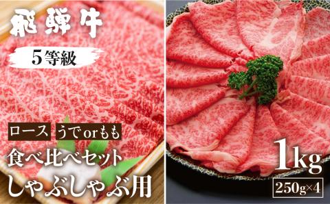 飛騨牛ロース・うでもも食べ比べセット　計1kg(250g×4) しゃぶしゃぶ用 国産牛 国産 牛肉 肉 厳選 熟成 贈答用 肉の沖村[Q1091]