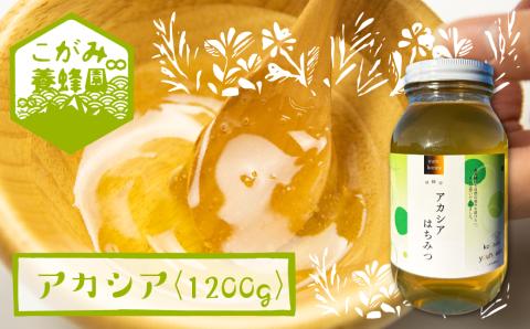飛騨産 生蜂蜜 アカシア蜜 1200g 国産無添加 はちみつ ギフト ハニー 非加熱[Q1200nx]