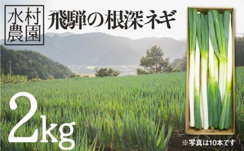 《令和8年産 先行予約》飛騨の根深ねぎ２ｋｇ 薬味からお鍋までおすすめ！