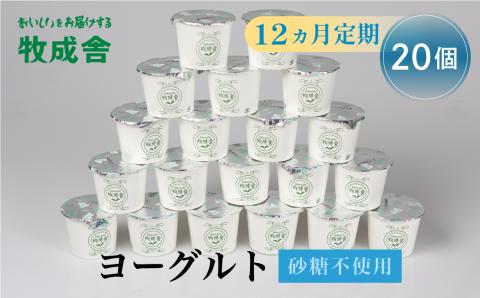 12回定期便 飛騨産ミルクと乳酸菌だけのプレーンヨーグルト20個 砂糖不使用 牧成舎 乳製品 定期便 お楽しみ 12ヵ月[AI534]