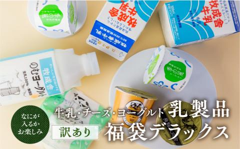 訳あり 福袋 ＜牧成舎＞乳製品デラックスセット 牛乳 ヨーグルト チーズ お任せ 飛騨産生乳で作ったこだわりの乳製品セット まとめ買い 牧成舎[Q2209]