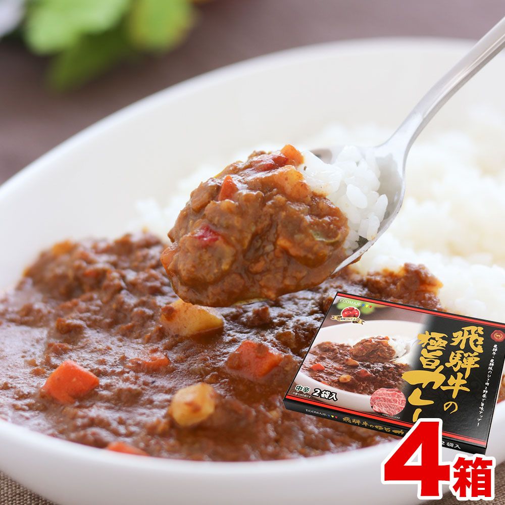 飛騨牛の極旨カレー　２食入り×４箱