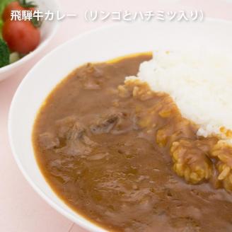 りんごとはちみつ入り飛騨牛カレー　1袋×10　（10食）[C0074pic]