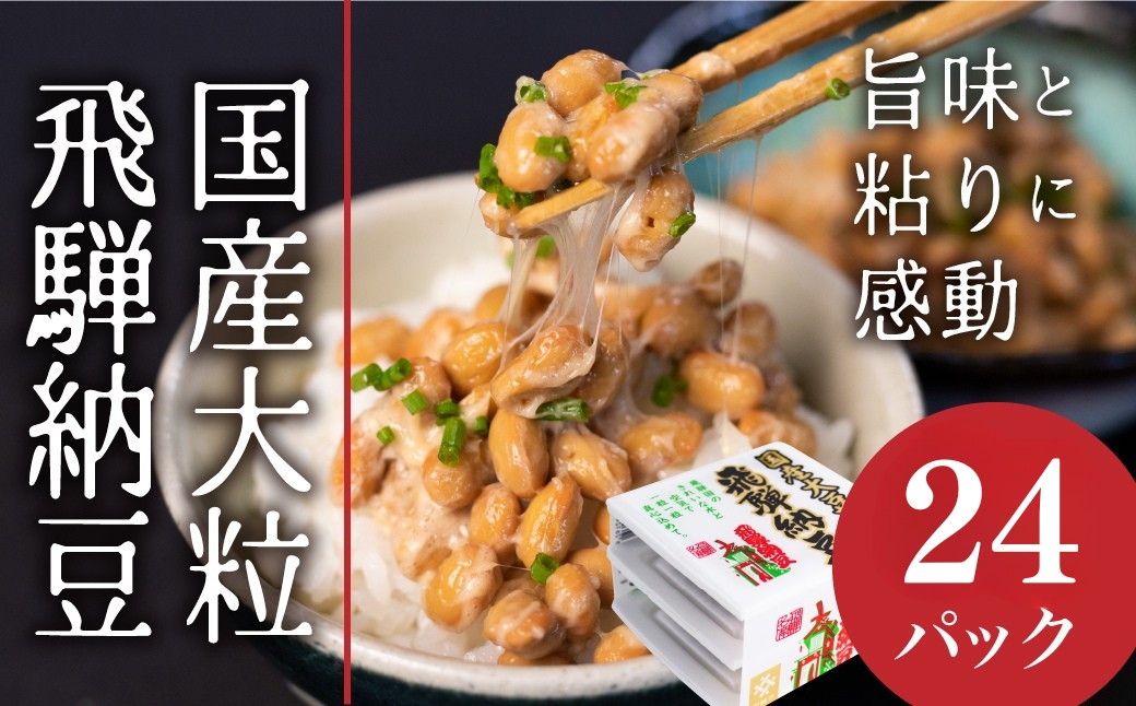 飛騨納豆 国産大豆 納豆 大粒 3パック 8個 合計24パック 橋本商店 なっとう 高級納豆 [Q071x]