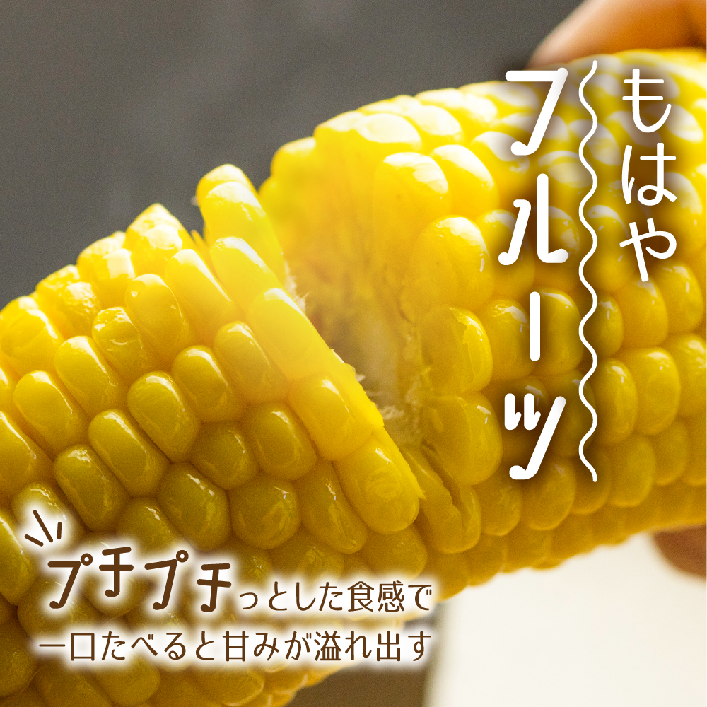 《2026年 先行予約》令和8年産《期間・数量限定》まるでフルーツ！特別栽培トウモロコシ　激甘！極旨のスーパースイート系トウモロコシ「カミオカスターコーン」とうもろこし 5本お届け 野菜 とうもろこし