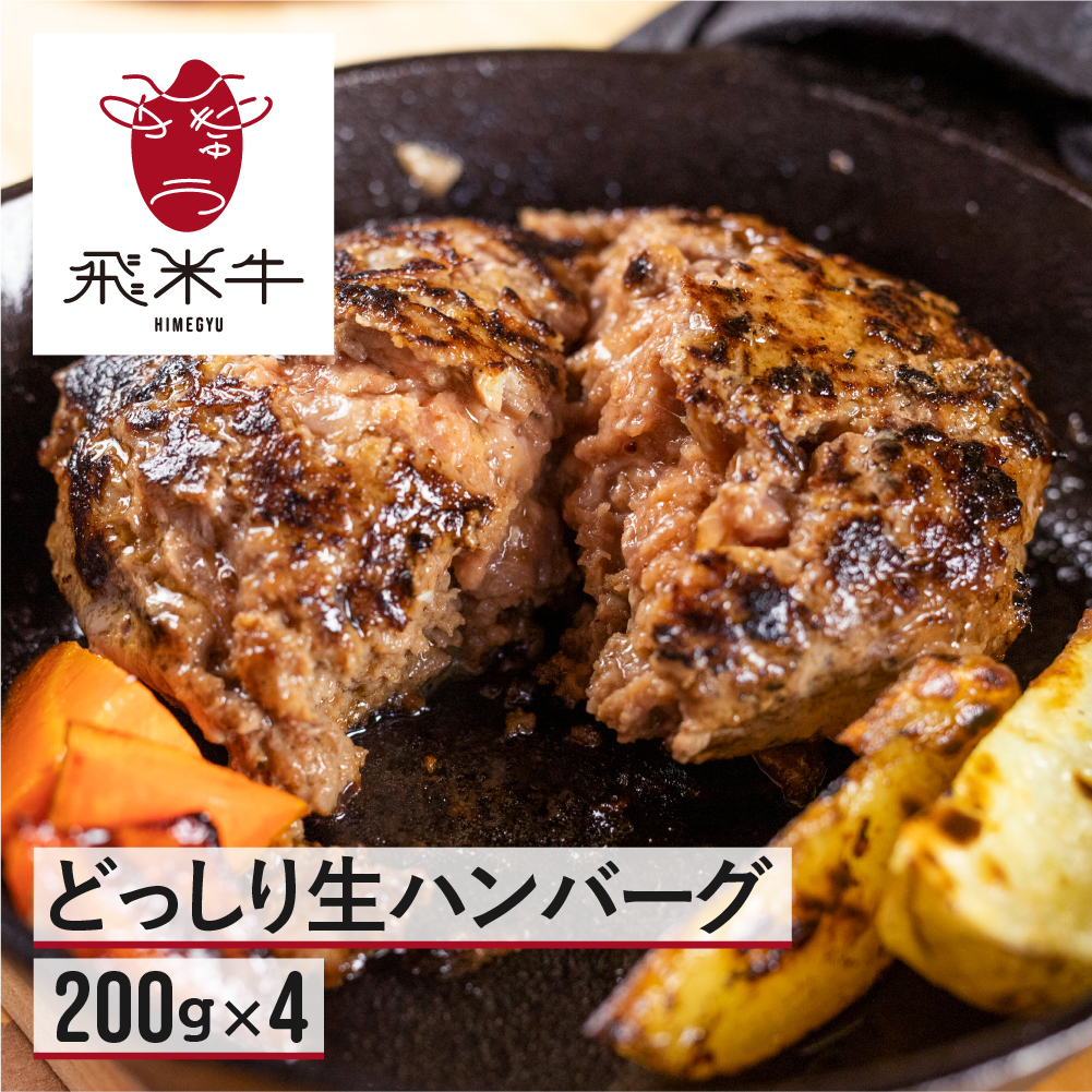 《簡易包装》うまい赤身にこだわった 牛飼いの和牛肉 ハンバーグ 200g×4枚  飛米牛 生ハンバーグ 和牛100%