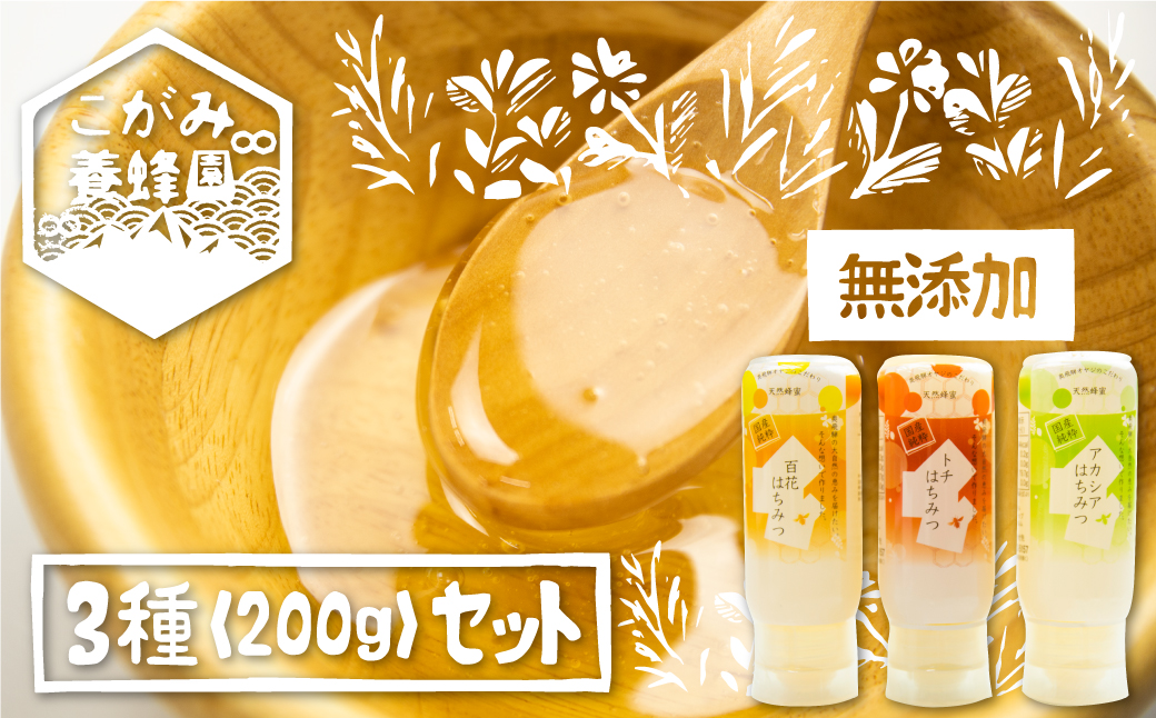 飛騨産 生蜂蜜 詰め合わせ セット 200g×3種類 ギフト 国産無添加 アカシア トチ 百花 はちみつ ハニー 非加熱[Q1194x]