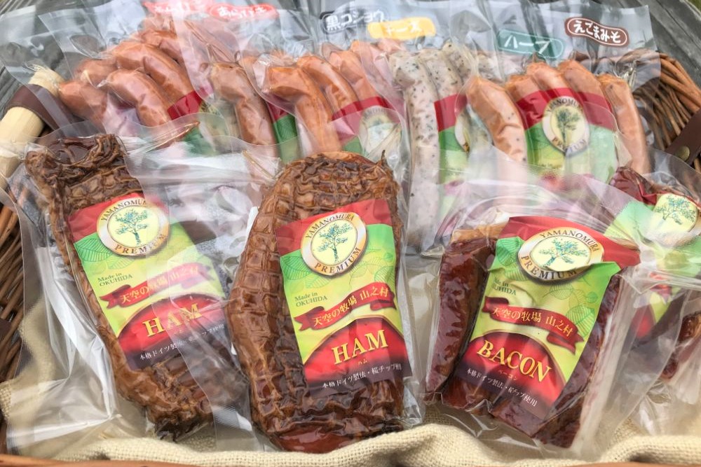 肉製品10点セット 肉製品 詰め合わせ ソーセージ ブロック ベーコン 山之村牧場[Q503]