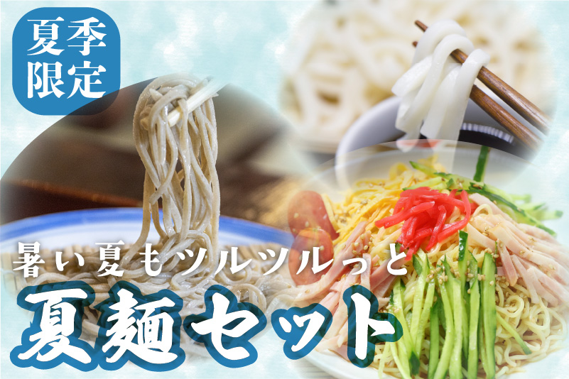 【夏季限定 4～9月発送】夏麺セット 12食 冷やし中華 生うどん 生そば 老田屋 夏 爽やか 常温保存 老田屋[Q745]