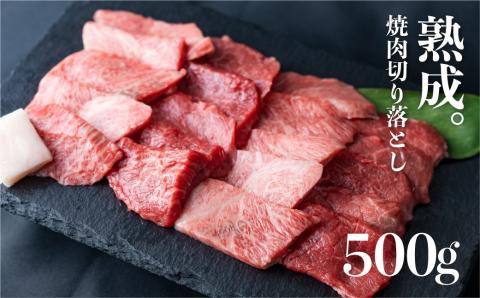 「山勇牛」焼肉用 切り落とし 500g 牛肉 和牛 飛騨牛 肉[D0025]