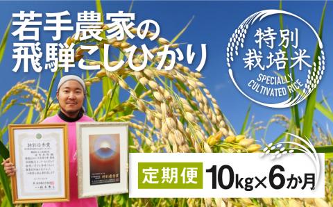 米 定期便 特別栽培米コシヒカリ 10kg×6ヶ月 池本農園 若手農家のこだわりのお米 令和2年産[K0070]