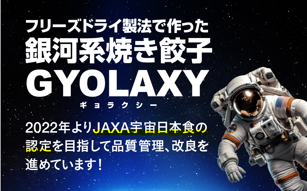 [宇宙に一番近い焼き餃子] 銀河系焼き餃子 GYOLAXY 3個入×4袋 [0322]