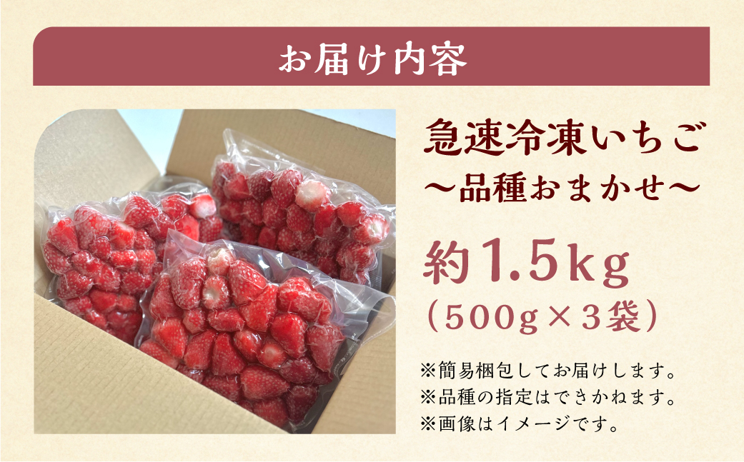 【2026年5月より発送】 《 訳あり 》 冷凍いちご 品種おまかせ 1.5kg (500g × 3p) 簡易梱包 サイズ 不揃い のため 訳あり 訳アリ フルーツ 果物 苺 いちご 紅ほっぺ よつぼし かおり野 イチゴ アイス ヨーグルト 苺 family農園watanabe 子ども 小分け 家庭用 国産 産地直送 岐阜県 本巣市 1万 10000円 [mt1505_omkase]