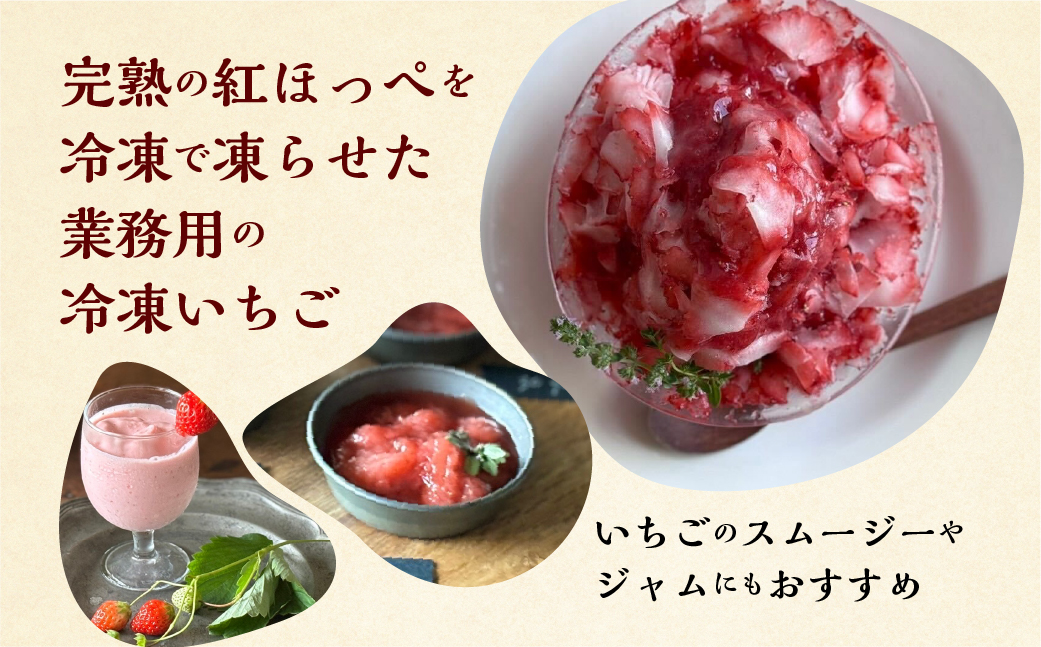 【2026年5月より発送】《 業務用 》 加工向きな 冷凍いちご 紅ほっぺ 1.5kg 簡易梱包 サイズ 不揃い のため 訳あり 訳アリ フルーツ 果物 苺 いちご イチゴ アイス ヨーグルト シャーベット 苺 family農園 子ども 家庭用 業務 加工向け 国産 産地直送 岐阜県 本巣市 8000円 8千円 [mt1561]
