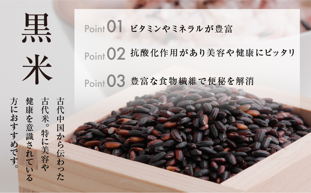【定期便3回】黒米 800g (400g × 2袋）米 こめ ごはん 健康 古代米 岐阜県産 本巣市 お米 美容 健康 おにぎり 弁当 おいしい 旨味 ぷちぷち 和食 アグリフレンドホリグチ 3か月