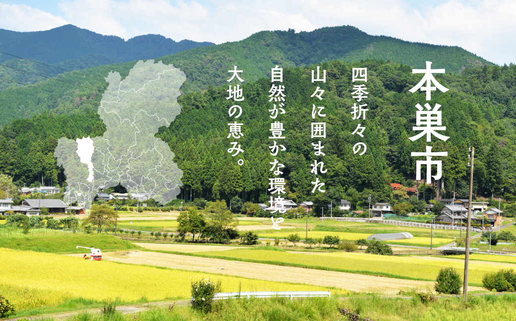 季節の野菜セットA 6～8品目  品目おまかせ BBQ 春 夏 秋 冬 野菜 料理 自宅用 岐阜県産 本巣市 新鮮 やさい 数量限定 冷蔵 道の駅 織部の里 [mt1587]