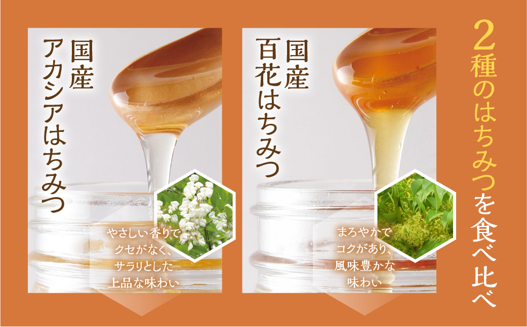 [ 国産はちみつ ] 2種食べ比べ アカシア 百花 300g × 2本 ボトル たれにくい 国産 常温 はちみつ ハチミツ 蜂蜜 ハニー 送料無料 秋田屋本店 食べ比べ パン ギフト [mt1710]