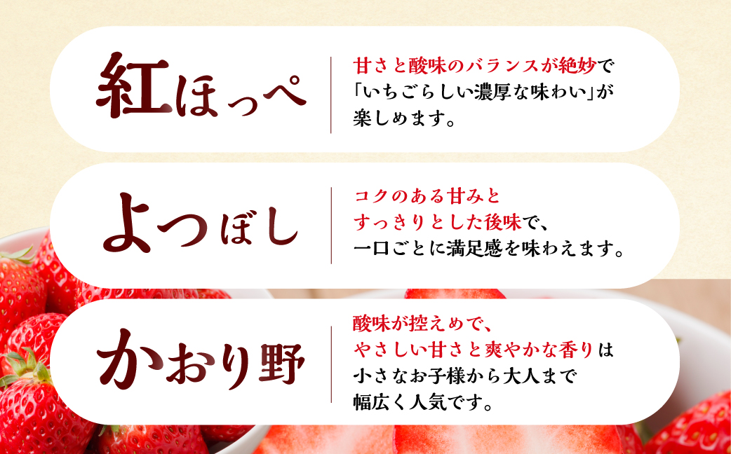【2026年1月以降発送】 自宅用 品種おまかせ いちご2kg (1kg × 2セット) [しあわせ苺] サイズ バラバラ 訳あり 訳アリ 農園直送 フルーツ 果物 苺 イチゴ 子ども 大人 人気 小分け 簡易梱包 家庭用 産地直送 紅ほっぺ よつぼし かおり野 先行予約 岐阜 期間限定 [mt1799_25] family農園watanabe