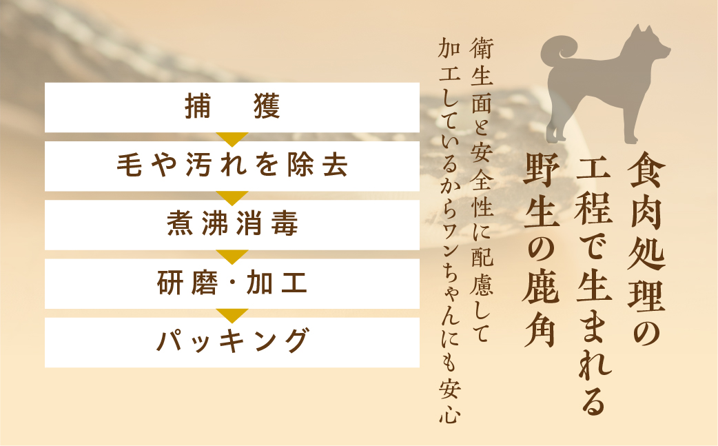 鹿角 犬用 歯磨きガム 20cm 大型犬用 デンタルケア おもちゃ ペット用品 犬 消毒済み 国産 天然 [mt1859]
