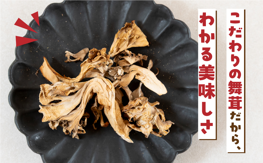 【お試し】乾燥 舞茸 約 20g お試し サイズ 混合 不揃い おまかせ 簡易梱包 訳あり 訳アリ BBQ 野菜 栽培期間中 農薬不使用 岐阜県産 本巣市 国産 きのこ キノコ まいたけ マイタケ 産地直送 新鮮 数量限定 常温 モトスマッシュ [mt1917] 6000円