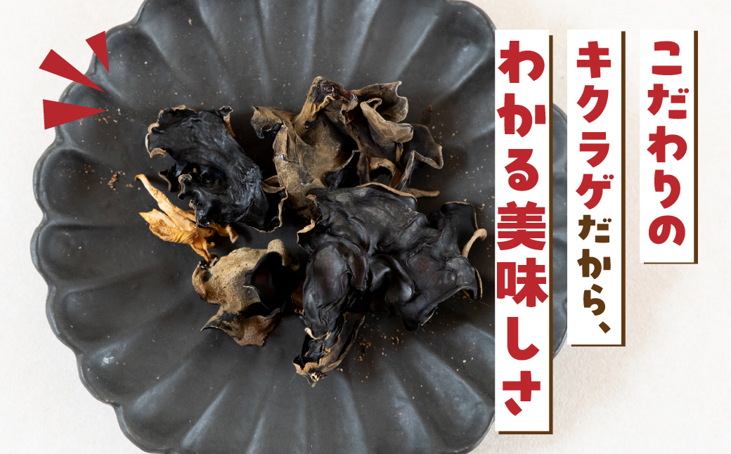 【お試し】乾燥 キクラゲ 約 20g メール便 サイズ 混合 不揃い おまかせ 簡易梱包 訳あり 訳アリ 料理 野菜 栽培期間中 農薬不使用 岐阜県産 本巣市 国産 きのこ キノコ きくらげ 産地直送 新鮮 数量限定 モトスマッシュ [mt1918] 4000円 4千円