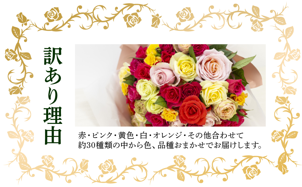 産地直送 ミニバラ 花束 50本 [申込から3か月以内 お届け] ラッピング付 切花 切り花 カットローズ 品種 色 おまかせ 訳あり 訳アリ 四季咲き ミニ バラ 花 ガーデニング 生産量 日本一 ※沖縄 離島配送不可 薔薇 セントラルローズ