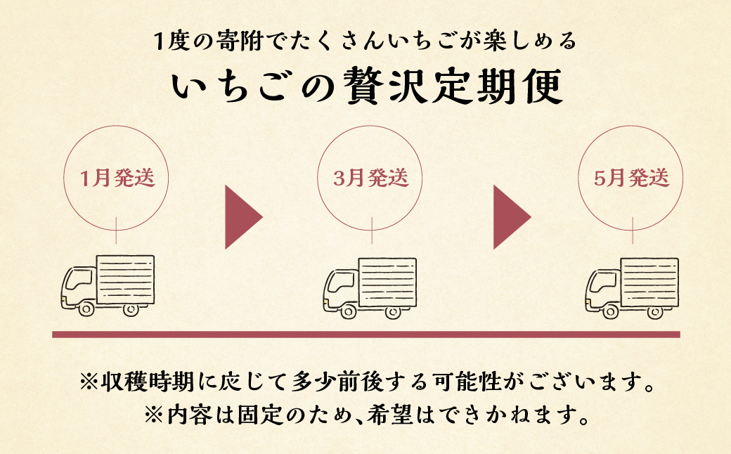 【定期便3回】 いちご贅沢 紅ほっぺ 450g 1kg しあわせ苺 サイズ バラバラ 訳あり 訳アリ 含む 農園直送 [mt198] フルーツ 苺 イチゴ 人気 本巣市 果物 先行予約 [mt211]