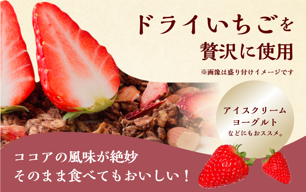 【2026年2月～発送】いちごとココアのグラノーラ2袋　ココア いちご 紅ほっぺ シリアル 朝食 ギフト｜フルーツ スイーツ 苺 牛乳 デザート おやつ イチゴ 子ども 大人 人気 甘い ビター 送料無料 岐阜県 本巣市 [mt290]