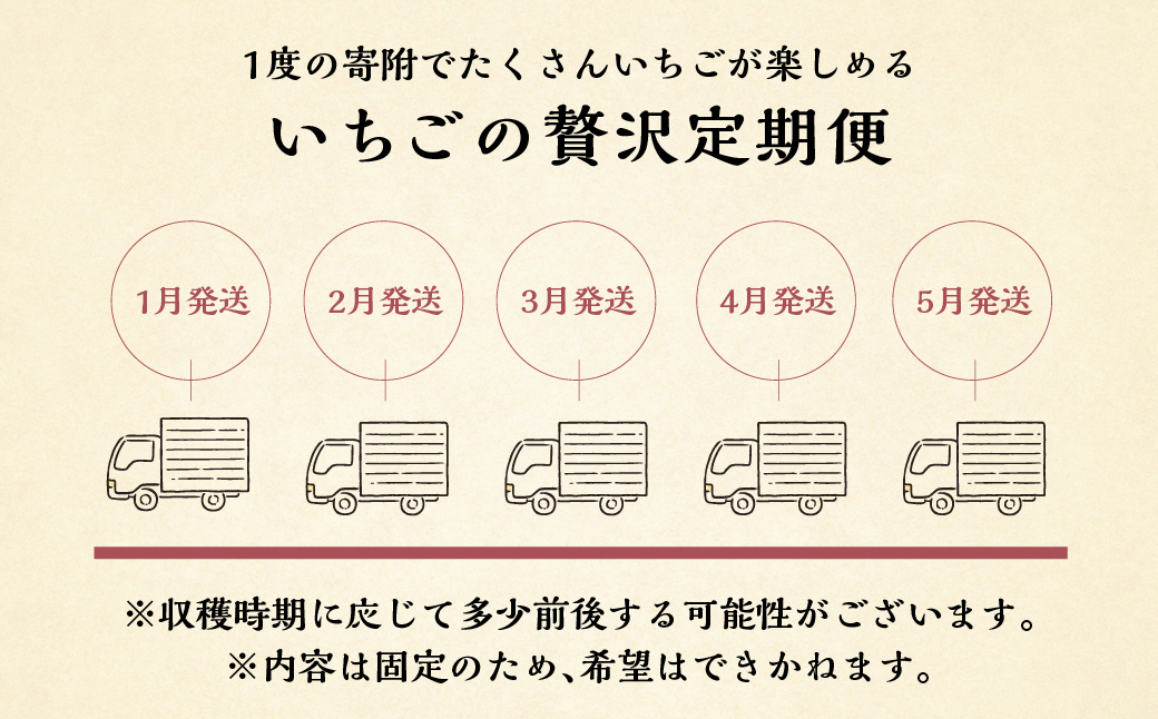 【定期便5回】【2027年1月より発送開始】 いちご贅沢 定期便 5回 紅ほっぺ 1kg ( 250g × 4p ) しあわせ苺 サイズ バラバラ 訳あり 訳アリ 含む 農園直送 フルーツ 苺 イチゴ 人気 本巣市 果物 先行予約 family農園watanabe [mt526_26]