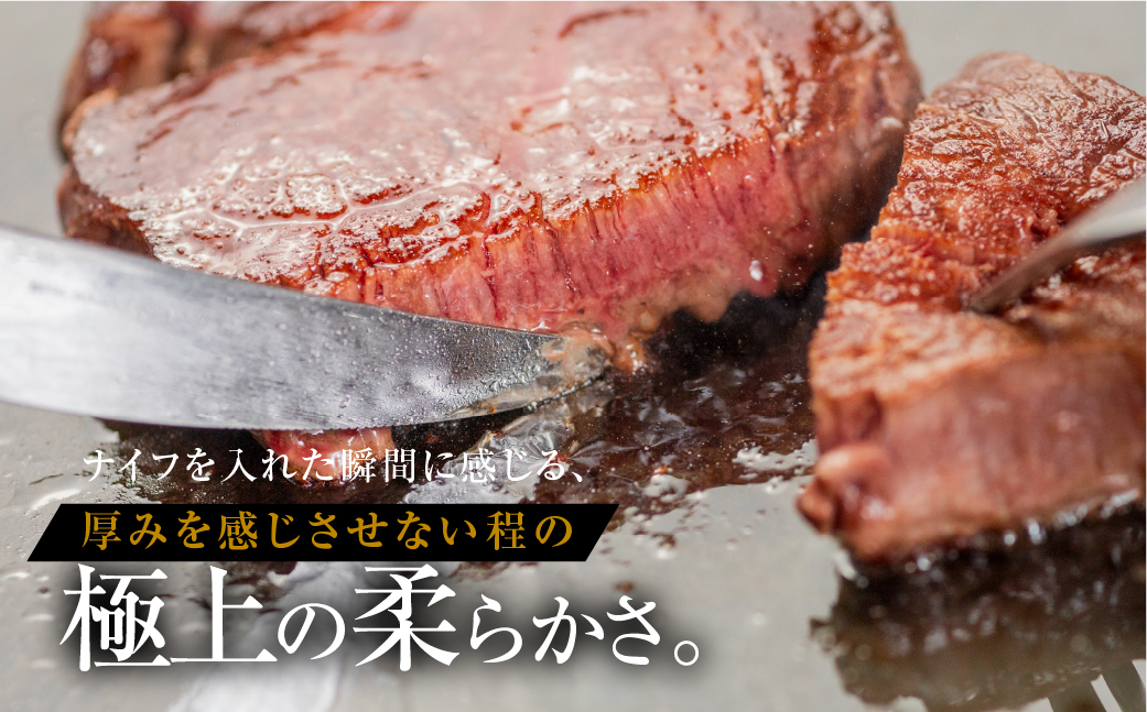 [A5等級] 飛騨牛 シャトーブリアンステーキ 2枚 |牛肉 肉 和牛 国産牛 牛肉 肉 ステーキ ヒレ ヒレステーキ 冷凍 岐阜 本巣市 トキノ屋 食品
