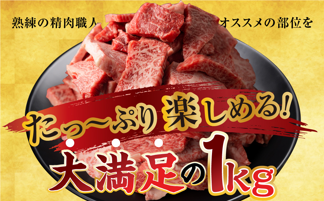 飛騨牛 焼肉 切り落とし 500g × 2 計 1kg | 牛肉 肉 切落し わけあり 訳あり商品 ワケアリ 不揃い 小分け 切り落とし小分け 冷凍 すぐ届く 本巣市 トキノ屋 食品 訳有 焼肉セット 焼肉用 [mt427]