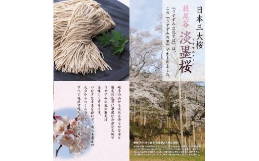 [淡墨桜の里根尾特産] うすずみ豆乳そばと根尾の珍味詰め合わせ [0270]