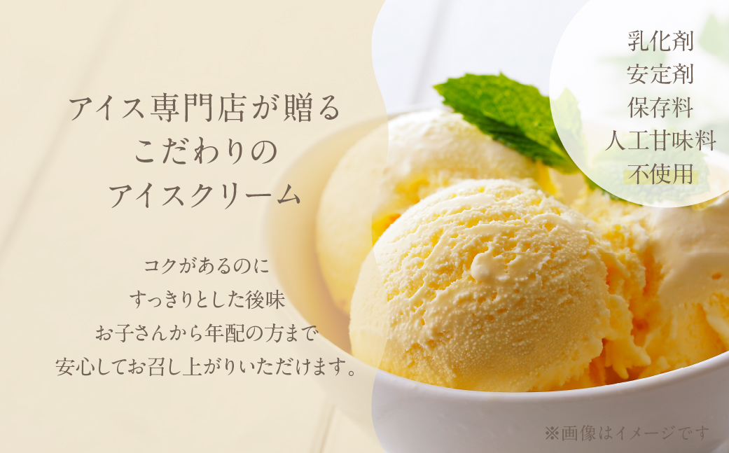 [バニラ味] 業務用アイス1リットル 大容量 アイスクリーム 訳あり 訳アリ 北海道産 純 生クリーム 牛乳 国産 岐阜県 本巣市 卵 無添加 甘い スイーツ デザート  たっぷり コーヒー メロン いちご フロート 自宅用