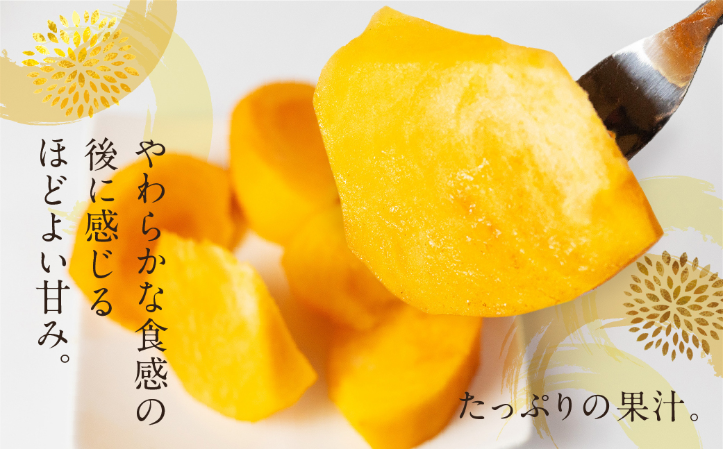 [令和７年産]《早い甘柿》大野農園の早秋柿 (9～14個入) 10月上旬～10月下旬発送予定 [mt1557]