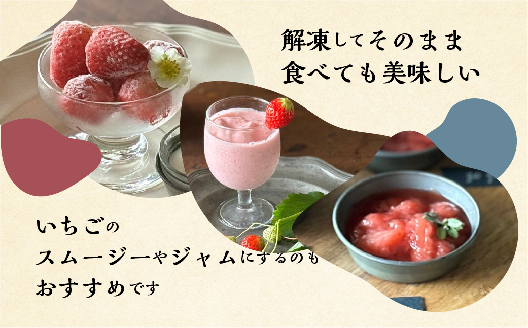 【2026年5月より発送】《 訳あり 》 冷凍いちご 紅ほっぺ 1kg (500g × 2p) 簡易梱包 サイズ 不揃い のため 訳あり 訳アリ フルーツ 果物 苺 いちご イチゴ アイス ヨーグルト 苺 family農園 子ども 小分け 家庭用 国産 産地直送 岐阜県 本巣市 8000円 8千円 [mt1560]