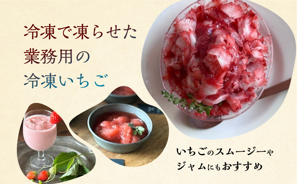 【2026年5月より発送】《 業務用の大袋 》 加工向きな 冷凍いちご 品種おまかせ 1.5kg 簡易梱包 サイズ 不揃い のため 訳あり 訳アリ フルーツ 果物 苺 いちご イチゴ アイス 紅ほっぺ よつぼし かおり野 ヨーグルト シャーベット 苺 family農園watanabe 子ども 家庭用 業務 加工向け 国産 産地直送 岐阜県 本巣市 8000円 8千円 [mt1561_omkase]