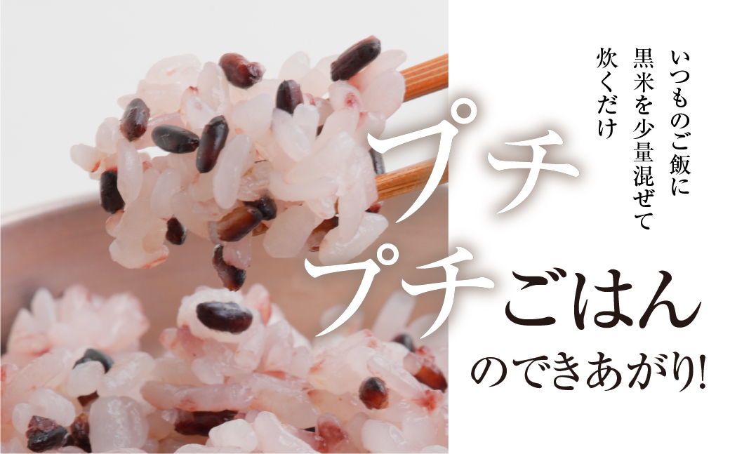 【定期便3回】黒米 400g 米 こめ ごはん 健康 古代米 岐阜県産 本巣市 お米 美容 健康 おにぎり 弁当 おいしい 旨味 ぷちぷち 和食 アグリフレンドホリグチ 3か月