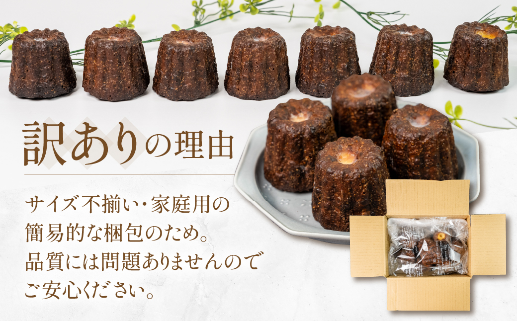 【訳あり】 家庭用 カヌレ８個入（プレーン）自宅用 サイズバラバラ 不揃い のため 訳あり 訳アリ 北海道産 純 生クリーム バター 牛乳 国産 岐阜県 本巣市 卵 無添加 甘い スイーツ デザート コーヒー アイス 季節 スイーツ [mt1769] 8000円