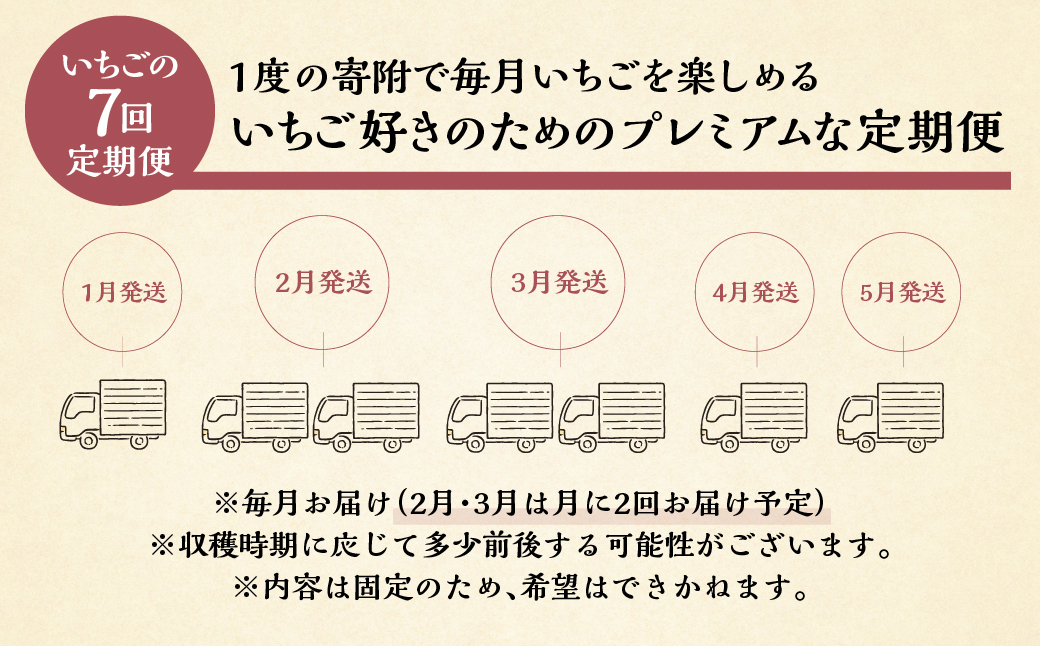 【プレミアム 定期便 全7回】【2027年1月より発送開始】自宅用 いちご 紅ほっぺ 1kg (250g × 4p ）7か月 7回｜フルーツ 果物 スイーツ 苺 いちご イチゴ しあわせ苺 サイズ バラバラ 訳あり 訳アリ 含む 農園直送 送料無料 人気 苺 国産 岐阜県 本巣市 2027年 先行予約 [mt1800_26] family農園watanabe