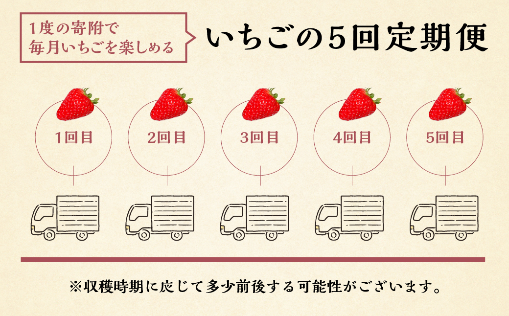 【定期便5回】【2027年1月以降発送開始】自宅用 いちご 紅ほっぺ 600-700g ×5回 [しあわせ苺] サイズ バラバラ 訳あり 訳アリ 農園直送｜フルーツ スイーツ 苺 イチゴ 人気 簡易梱包 家庭用 産地直送 いちご こだわりの 甘さ 岐阜県 本巣市 先行予約 [mt1801_26] family農園watanabe