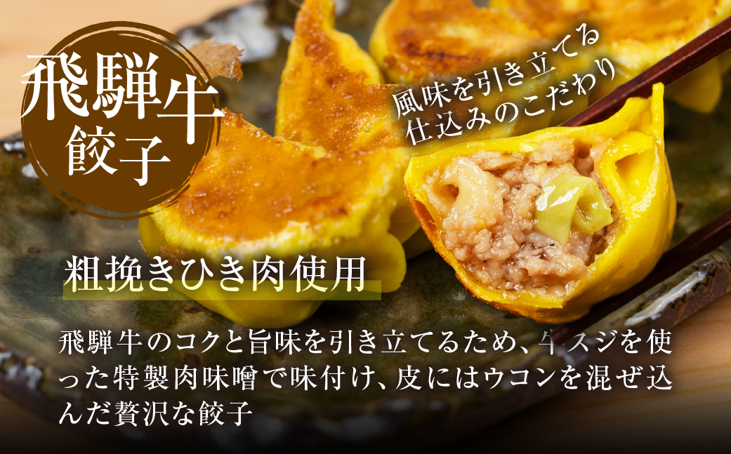 生餃子「飛騨牛餃子 」50個 餃子 ぎょうざ ギョウザ 飛騨牛 飛騨牛 のリッチな風味が口中に広がる！牛肉 肉 和牛 国産 冷凍 総菜 ごはん 晩酌 のお供に お取り寄せ [mt1820] 20000円