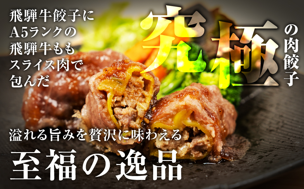贅沢！飛騨牛 肉巻餃子 5個 餃子 ぎょうざ ギョウザ 飛騨牛 a5 赤身 もも モモ 肉 スライス 和牛 黒毛和牛 国産 冷凍 総菜 ごはん 晩酌 のお供に お取り寄せ オリジナル 冷凍 [mt1826] 15000円