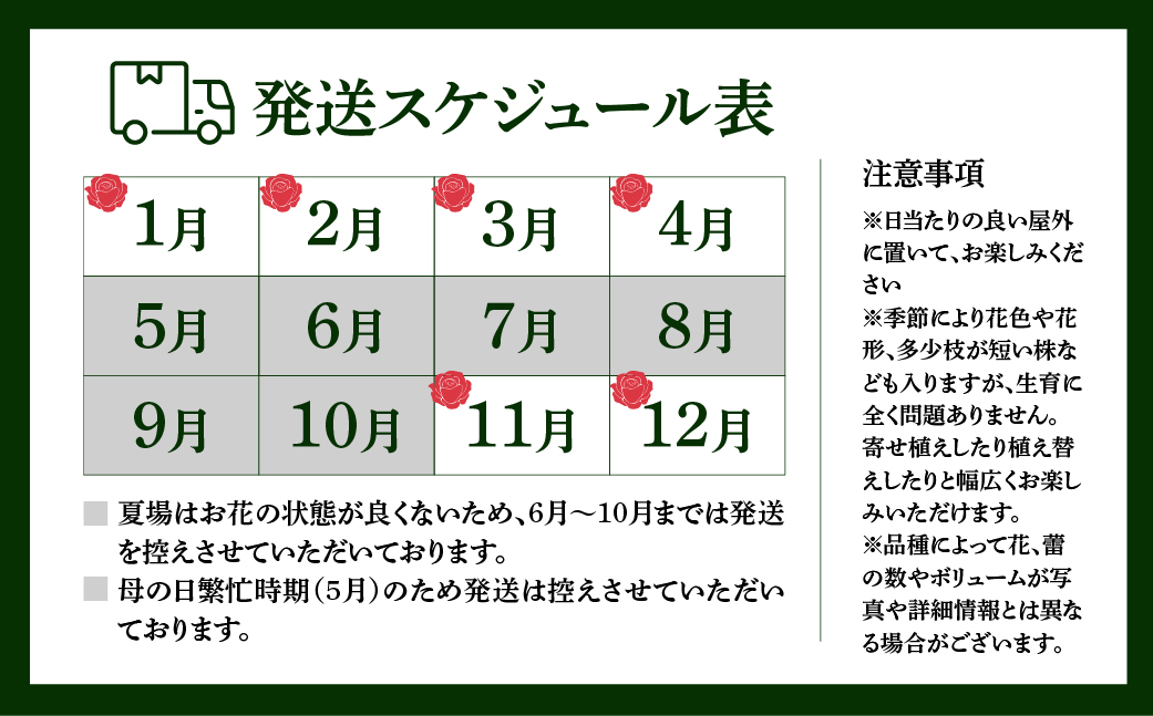 産地直送 ミニバラ トロフィーカップ（小） ふんわり（淡いMIX） [11月～4月 お届け] 品種 おまかせ のため 訳あり 訳アリ 四季咲き ミニバラ 花 ガーデニング 生産量 日本一 天皇杯 鉢植 ※沖縄 離島配送不可 薔薇 セントラルローズ [mt1901] 40000円 4万