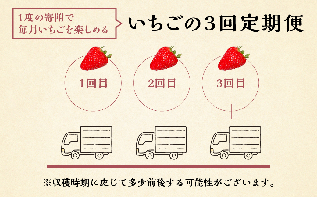 【定期便3回】【2026年1月以降発送開始】自宅用 いちご 紅ほっぺ 600-700g ×3回 [しあわせ苺] サイズ バラバラ 訳あり 訳アリ 農園直送｜フルーツ スイーツ 苺 イチゴ 人気 簡易梱包 家庭用 産地直送 いちご こだわりの 甘さ 岐阜県 本巣市 先行予約 [mt208]