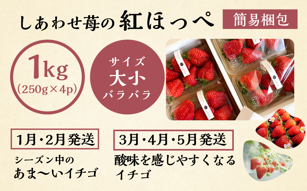 【定期便3回】いちご贅沢 紅ほっぺ 1kg ( 250g × 4p ) しあわせ苺 サイズ バラバラ 訳あり 訳アリ 含む 農園直送 フルーツ 苺 イチゴ 人気 本巣市 果物 先行予約 family農園watanabe