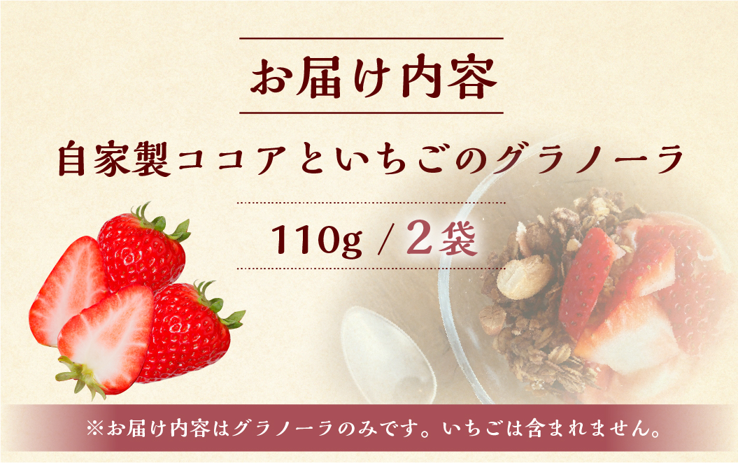 【2026年2月～発送】いちごとココアのグラノーラ2袋　ココア いちご 紅ほっぺ シリアル 朝食 ギフト｜フルーツ スイーツ 苺 牛乳 デザート おやつ イチゴ 子ども 大人 人気 甘い ビター 送料無料 岐阜県 本巣市 [mt290]