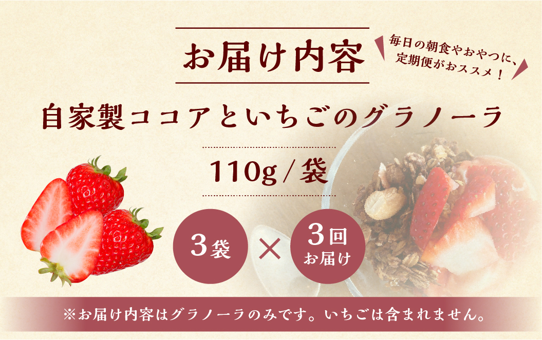 【3回定期便】【2026年2月～発送】いちごとココアのグラノーラ3袋 family農園watanabe ココア いちご 紅ほっぺ シリアル 朝食 ギフト ｜フルーツ スイーツ 苺 牛乳 デザート おやつ イチゴ 子ども 大人 人気 甘い ビター 岐阜県 本巣市 [mt294]