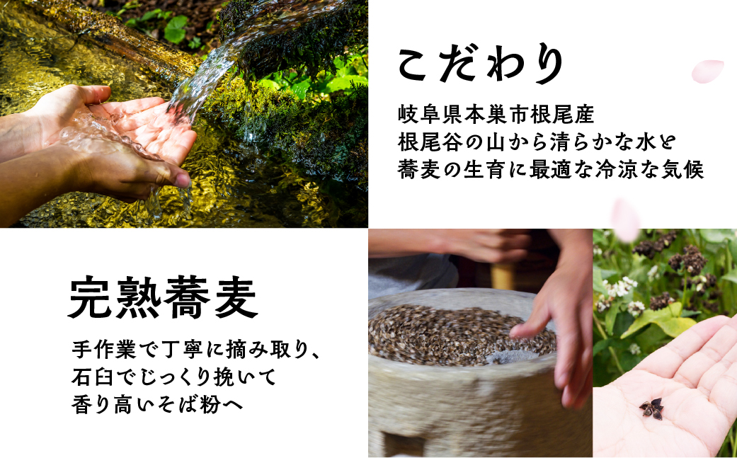 【訳あり】うすずみ豆乳そば 4人前 自家製つゆ付 冷凍 蕎麦粉100% 小麦粉不使用 十割そば 麺が短い 切れやすい ため訳あり 訳アリ 手打ち 添加物不使用 小分け グルテンフリー 住吉屋 日時指定可