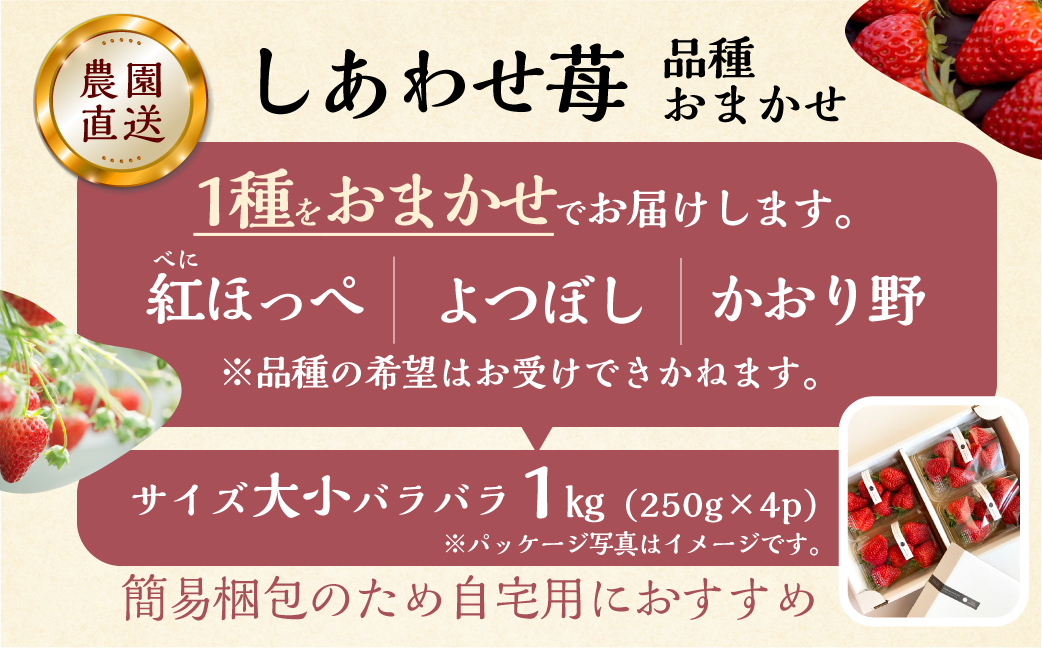 【2026年1月以降発送】 自宅用 品種おまかせ いちご 1kg (250g × 4p) [しあわせ苺] サイズ バラバラ 訳あり 訳アリ 農園直送 フルーツ 果物 苺 イチゴ 子ども 大人 人気 小分け 簡易梱包 家庭用 産地直送 紅ほっぺ よつぼし かおり野 先行予約 岐阜 期間限定 [mt524] family農園watanabe